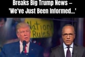 ABC Anchor Admits Truth As Trump’s DC Crackdown Yields Big Results