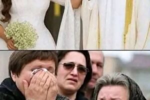 Golden Bride Behind C