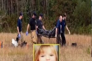 Missing Girl Found in the Woods — Her Mother Was the One Who Tried to Save Them All