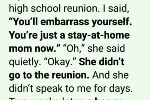 I HUMILIATED MY WIFE OVER HER HIGH SCHOOL REUNION — THEN A SINGLE PACKAGE MADE ME SEE HER ENTIRE LIFE DIFFERENTLY