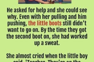 The Cowboy Boots