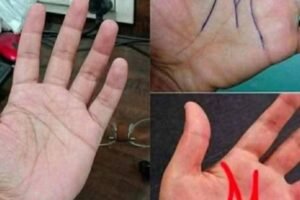 The Hidden Meaning of the “M” on Your Palm: What It Says About Men and Women