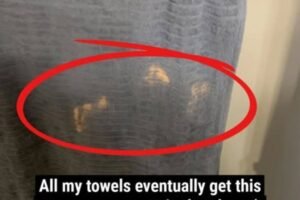 Bleached Secrets In Your Towels