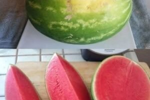How To Pick The Best Fruits At The Grocery Store