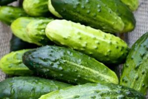 Doctors reveal that eating cucumber in salads causes…