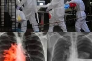Understanding the Latest Updates on COVID-19 Vaccination Research-