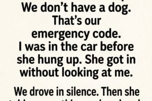 The Emergency Code That Meant “Come Get Me”..