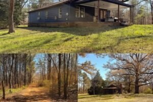 Farmhouse Reborn