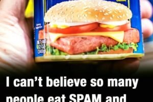 The Truth Behind SPAM: Ingredients and History Explained