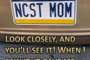 This Clever License Plate Has Everyone Talking — Can You Spot Why