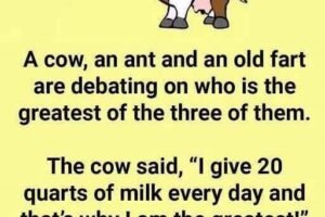 A Cow, An Ant And An Old Fart Are Debating