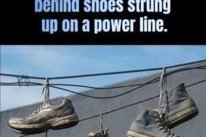 Those Shoes Hanging From Power Lines Aren’t There By Accident… See more