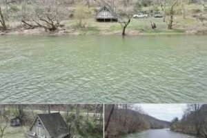 1-Acre Waterfront Lot on the Elk River in Duck, West Virginia Offered for ,000 With Riverfront Access and No HOA Restrictions