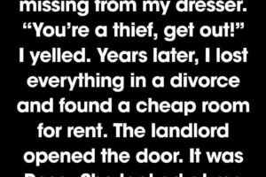 I Dismissed My Nanny Over a Small Amount—Years Later, She Held My Future in Her Hands..