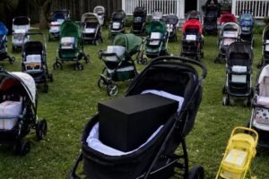 After Losing My Newborn Son, I Gave Everything I’d Bought Him to a Mother Begging with Her Baby – The Next Morning, My Lawn Was Covered with Dozens of Baby Strollers, Each Holding a Sealed Box