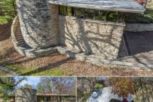 Frank Lloyd Wright–Inspired Organic Modern Masterpiece