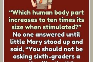The teacher asked, Which body part increases to 10 times its size when stimulated