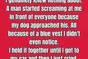 If You See A Dog Wearing Blue, Here’s What It Means…