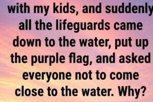DANGER IN THE WATER WHY THAT PURPLE FLAG AT THE BEACH COULD SAVE YOUR LIFE