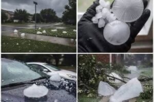 Giant hail recorded Tuesday evening in the town of… See more.