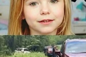 A Missing Child Was Found in the Woods—What Investigators Learned Next