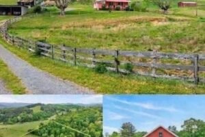 Charming Creekside Mini Farm Offers Peaceful Country Living and Room to Create Your Dream Retreat