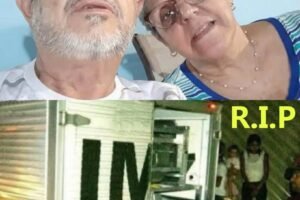 Mystery Behind Closed Doors What Really Happened to the Elderly Woman Inside Room 12?