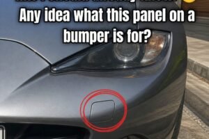 Small Panel on Bumper: Why It’s There
