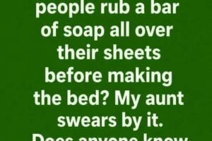 I Never Knew Why People Rub Soap On Their Sheets Before Sleeping…