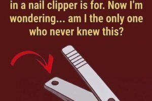 The Small Round Hole On Nail Clippers Has A Surprisingly Useful Purpose Most People Never Notice… See more