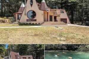 Established 1982 Residence With Four Bedrooms and Three Bathrooms