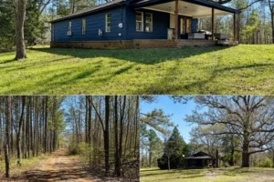 An Aging 3-Bedroom Farmhouse on 8 Acres in Eupora, Mississippi Offers More Than Meets the Eye