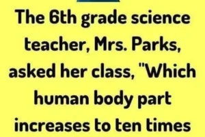 The Question That Almost Got a Teacher in Trouble