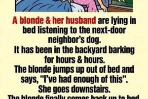 My Neighbor’s Dog Wouldn’t Stop Barking, So I Tried a Solution That Backfired