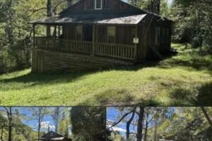 Historic Appalachian Cabin