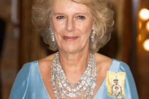 Camilla Parker Bowles Faces a New Chapter as the Royal Family Confirms an Important Update