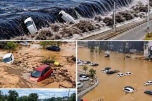 A 9 1 Magnitude Earthquake and Tsunami How Coastal Communities Face Catastrophic Flooding