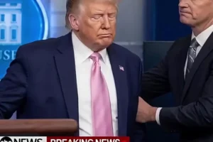 ABC News Stops Live Show, Breaks HUGE Trump News We ve Just Been Informed See more